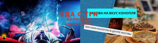 мдпв Богородицк