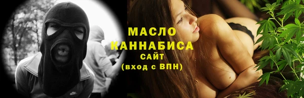 мдпв Богородицк