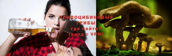 первитин Богданович