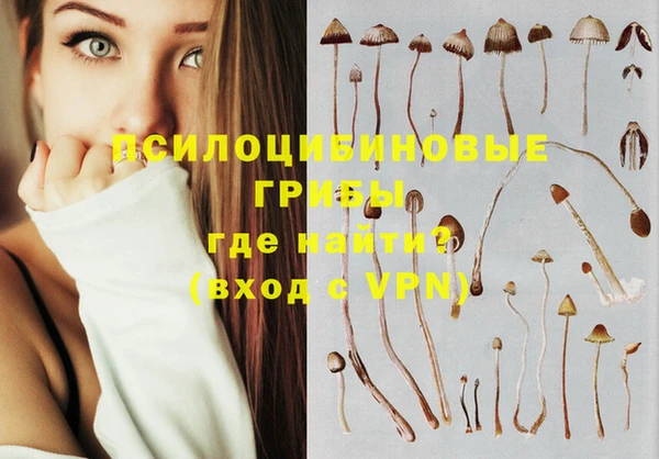mix Бородино