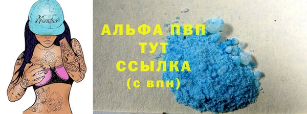 первитин Богданович